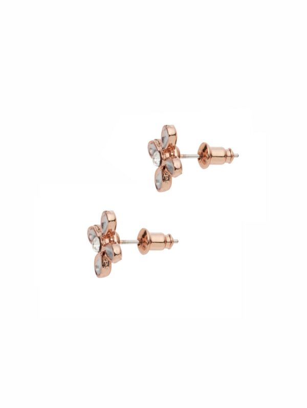 Earrings NC-1401